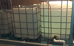 Aquaponics tanks, first fill